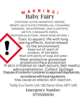 Baby Fairy