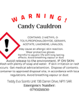 Candy Cauldron Teddy Pot
