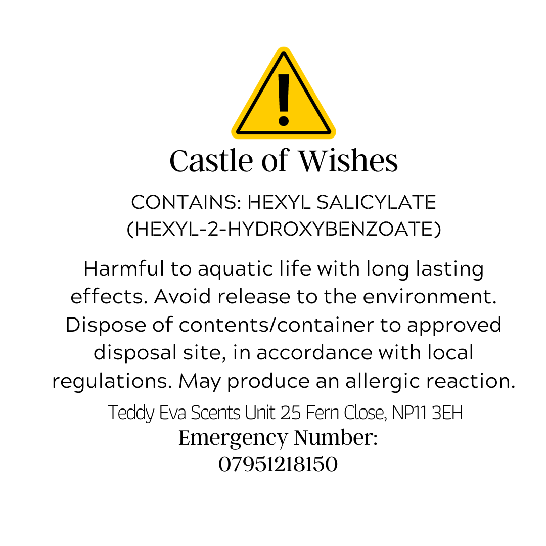 Castle of Wishes Teddy Clamshell