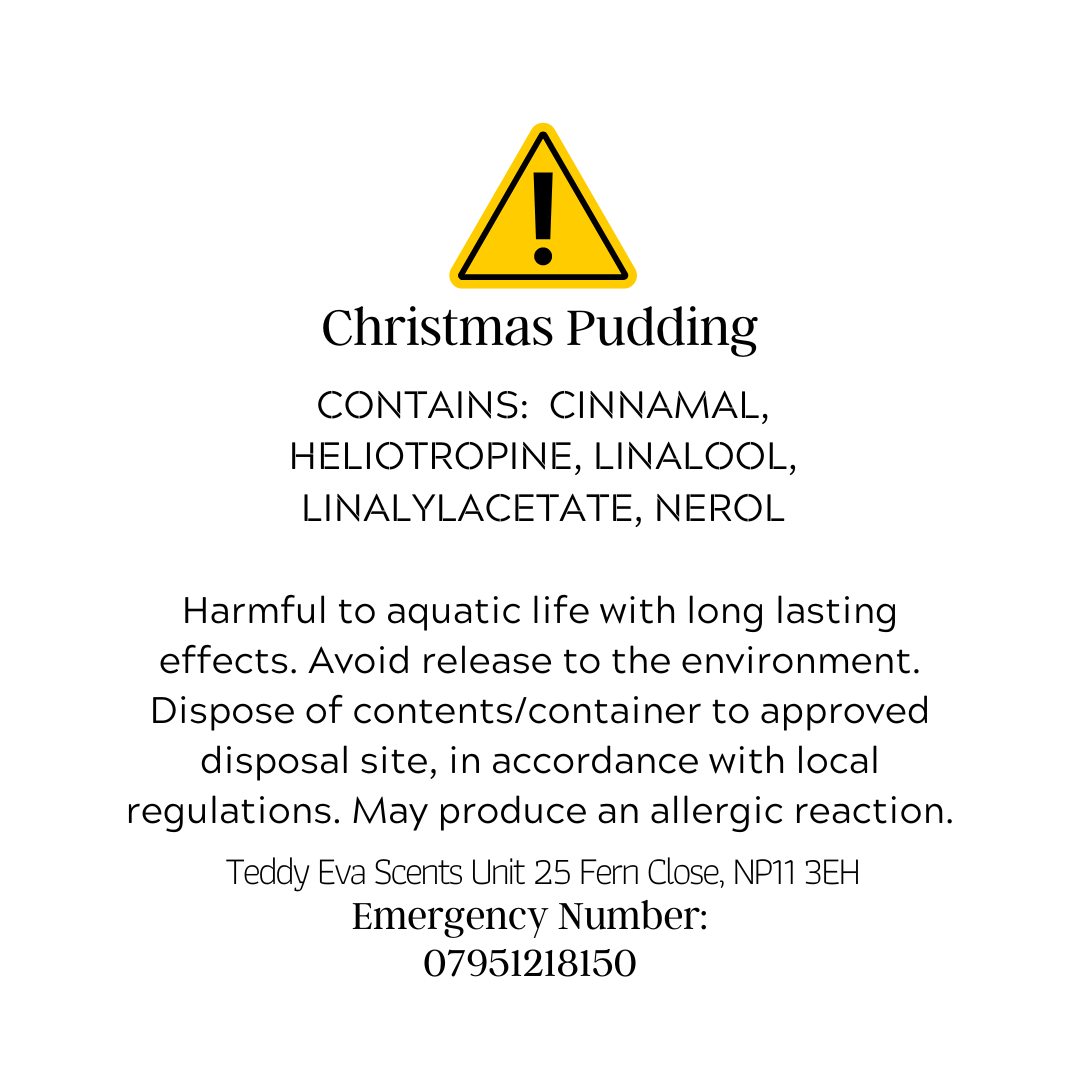 Christmas Pudding Teddy Clamshell