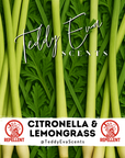 Citronella & Lemongrass | Bug Repellent