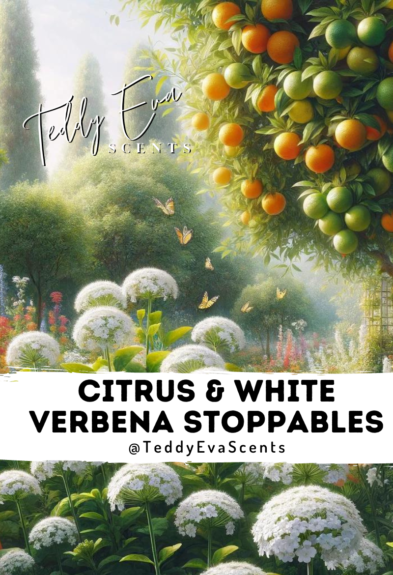 If you're a fan of the scent boosters from Lenor - we do loads of them - then you might enjoy Citrus & White Verbena! It's another tidy wax melt for anyone who likes spring-scents, flowers, and randomly sniffing their washing.