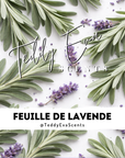 Feuille de Lavende