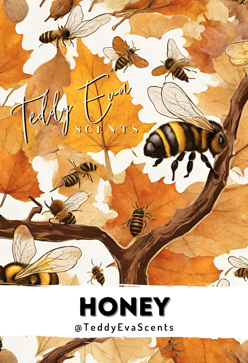 Honey Teddy Clamshell