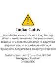 Indian Lotus