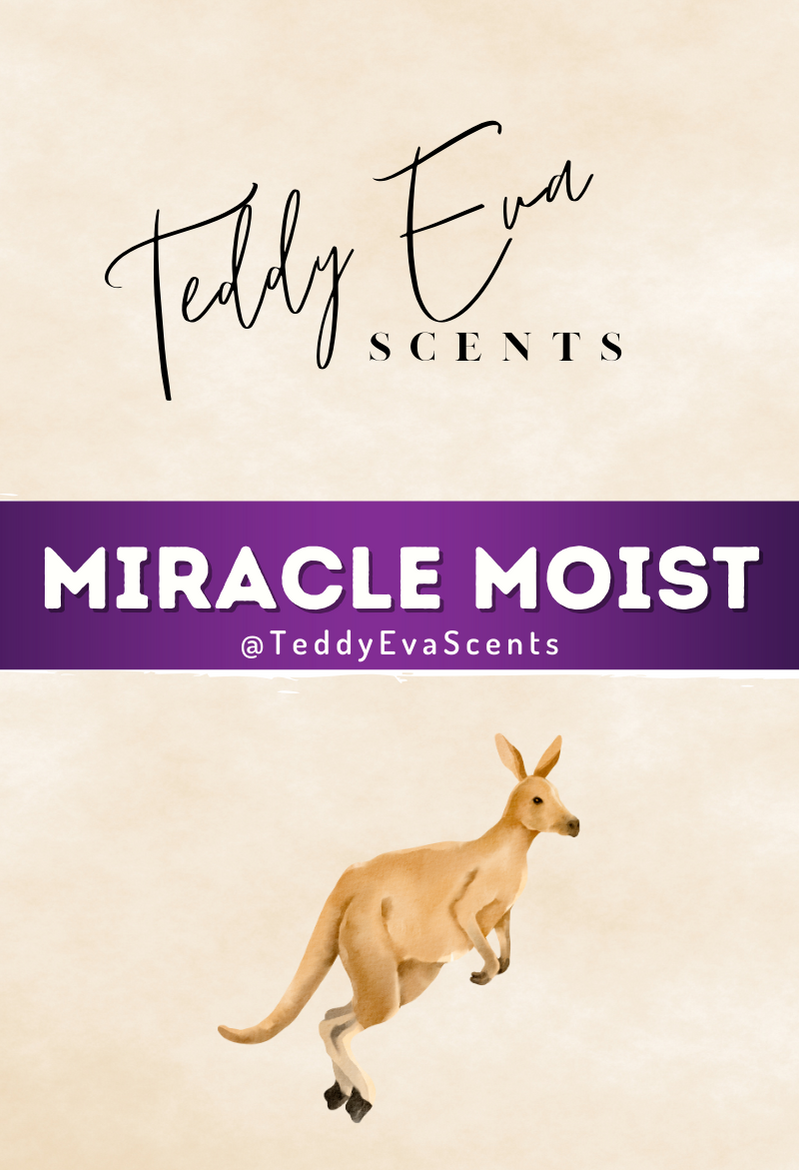Miracle Moist Teddy Clamshell