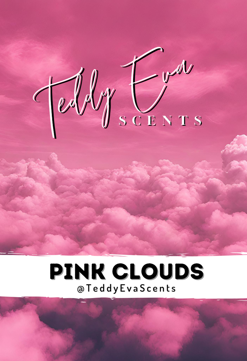 Pink Clouds Teddy Clamshell