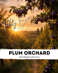 Plum Orchard