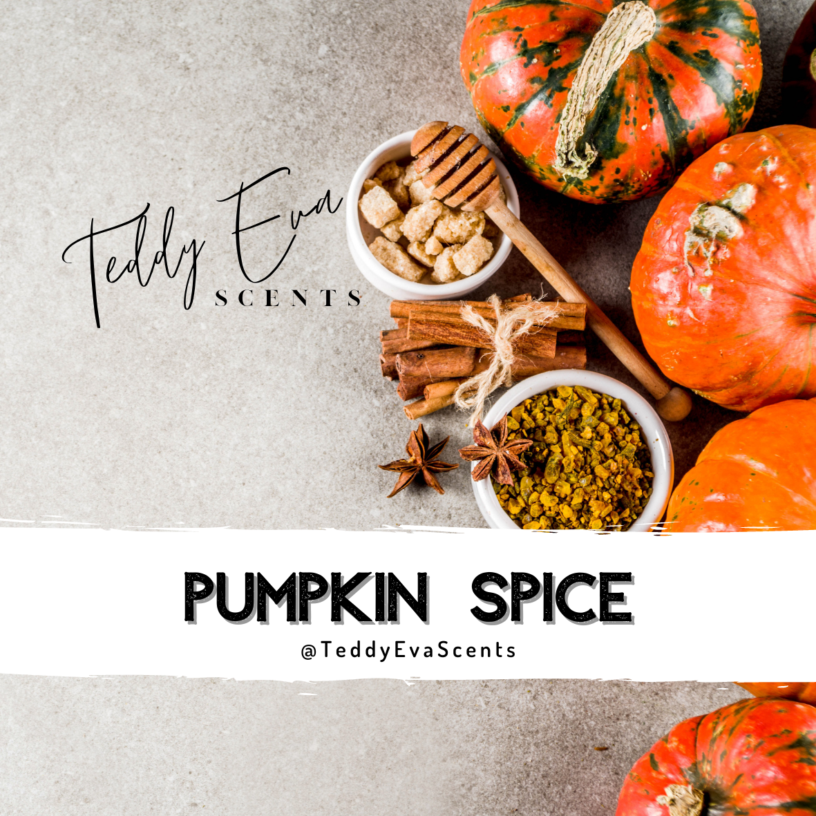 Pumpkin Spice Teddy Pot