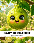 Baby Bergamot