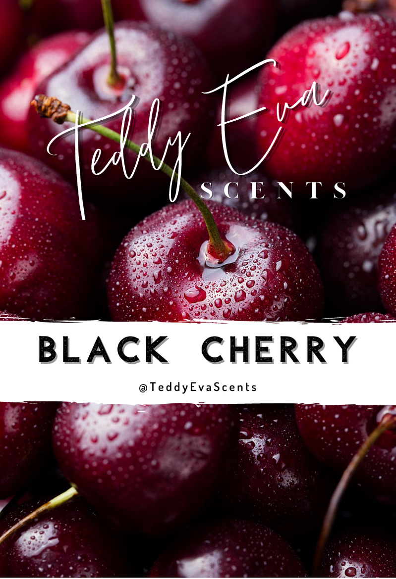 Black Cherry Teddy Clamshell