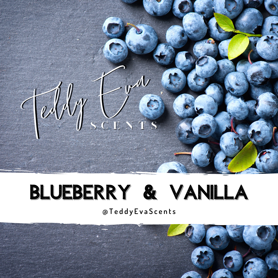 Blueberry and Vanilla Teddy Pot