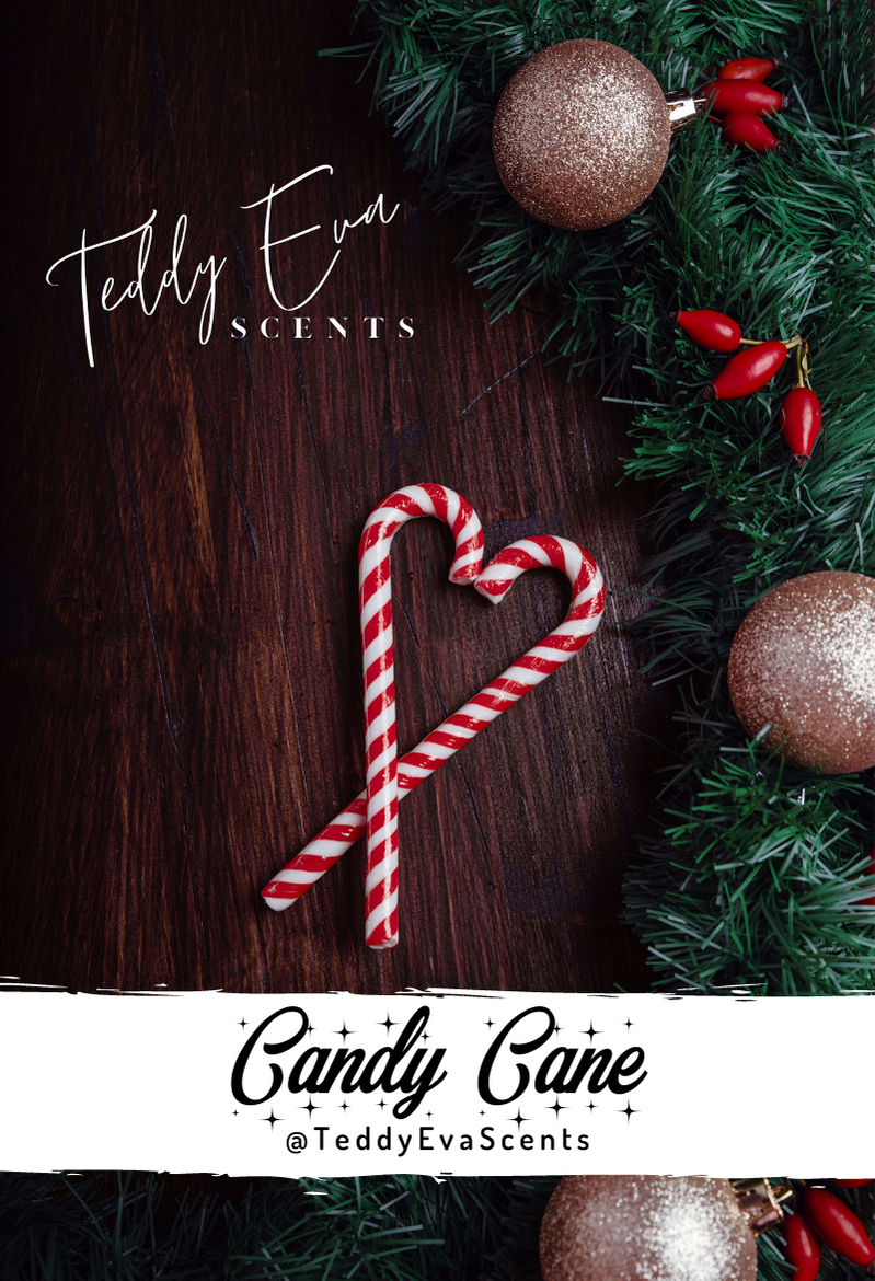 Candy Cane Teddy Clamshell