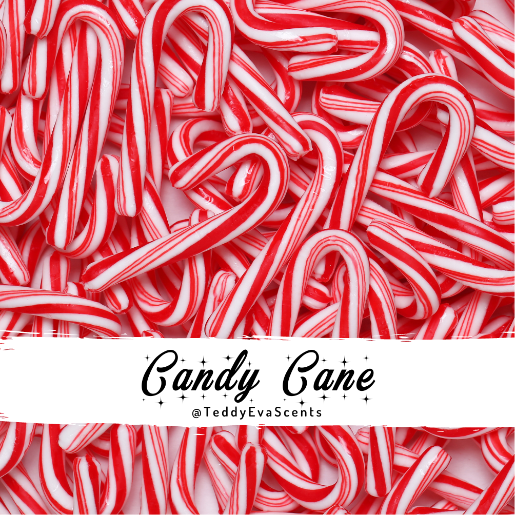 Candy Cane Teddy Pot