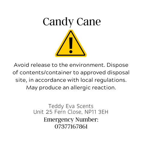 Candy Cane Teddy Clamshell
