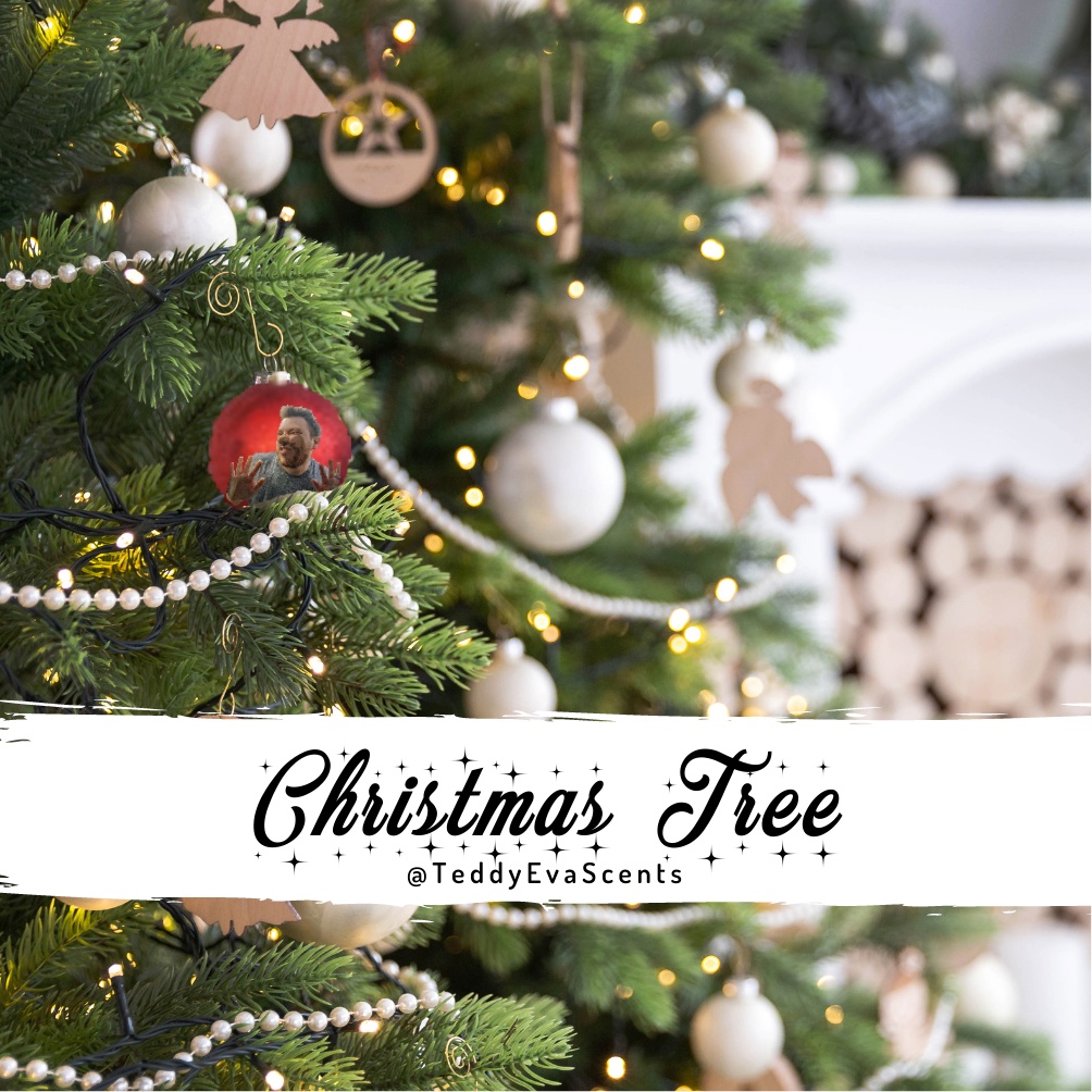 Christmas Tree Teddy Pot