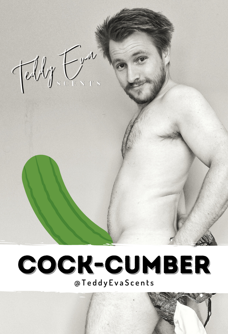 Cock-cumber Cockshell
