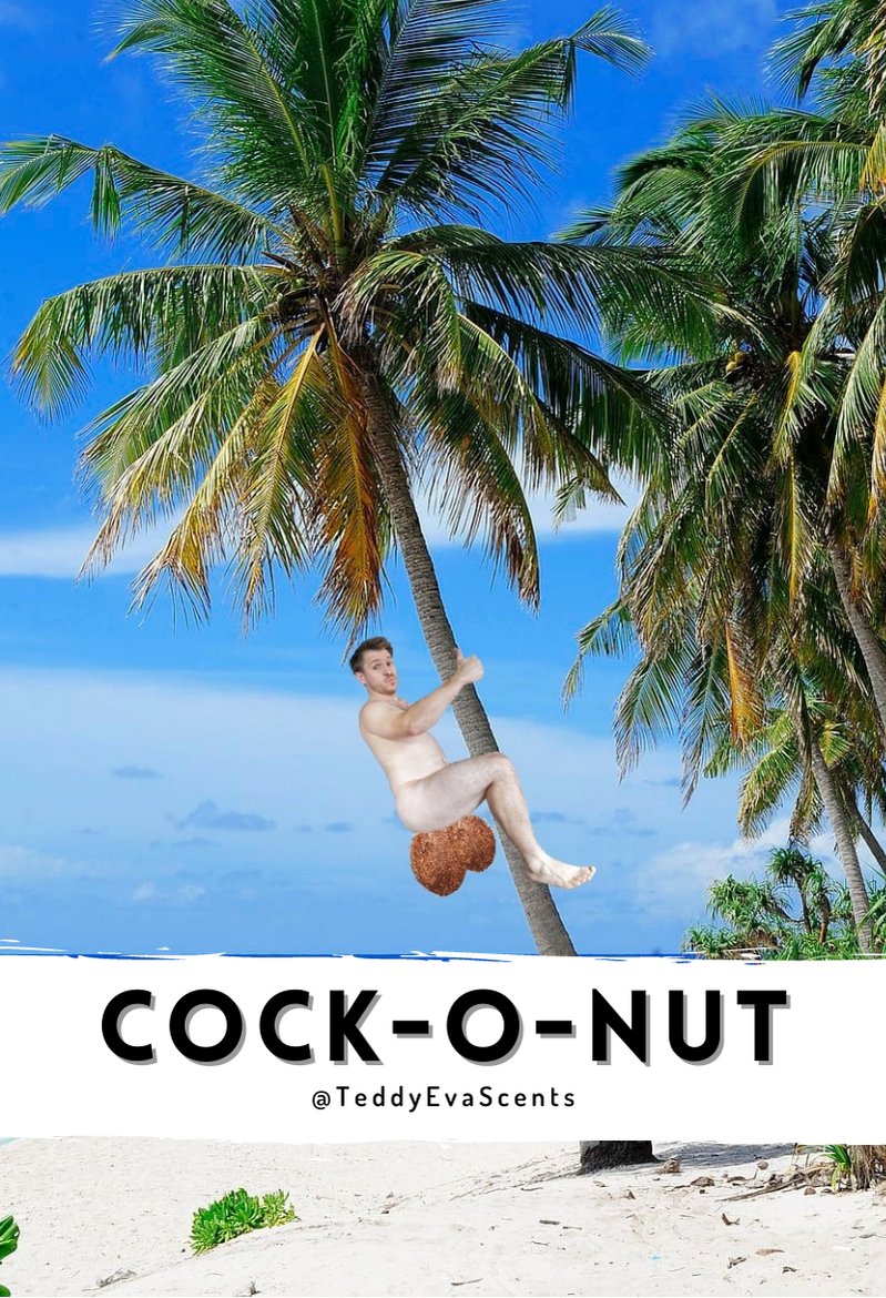 Cock-o-Nut Cockshell