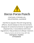 Hocus Pocus Punch
