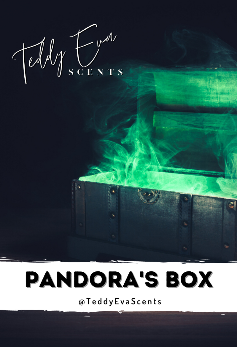 Pandora's Box Teddy Clamshell
