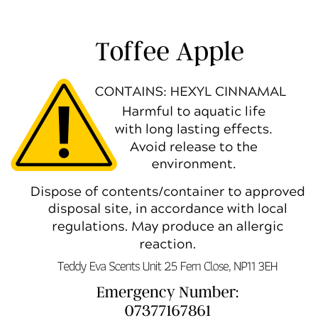Toffee Apple Teddy Pot