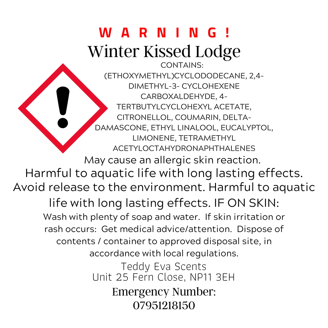 Winter Kissed Lodge Teddy Clamshell