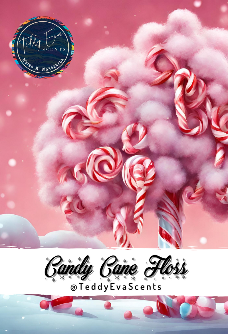 Candy Cane Floss Teddy Clamshell