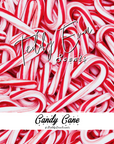 Candy Cane Teddy Clamshell wax melts