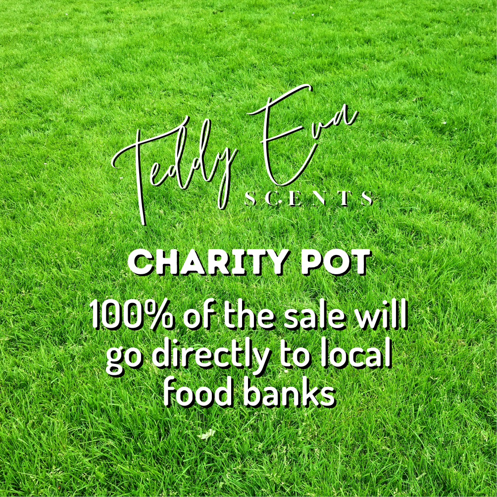 Charity Clamshell + Teddy Pot
