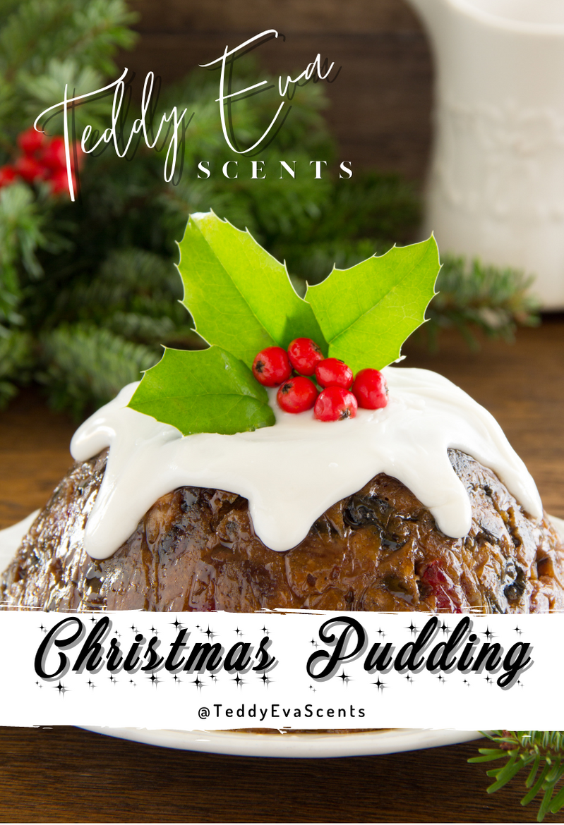Christmas Pudding Teddy Clamshell