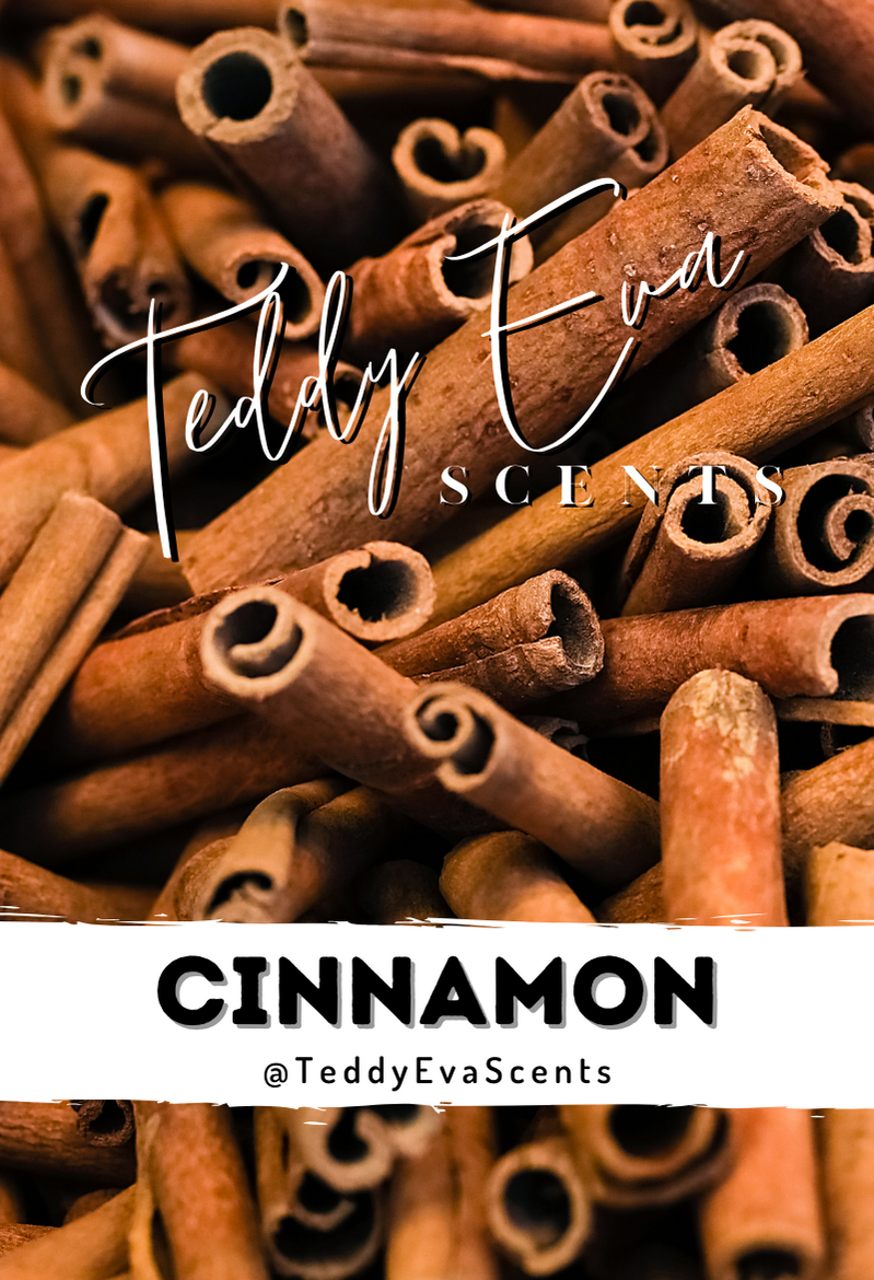 Cinnamon Teddy Clamshell