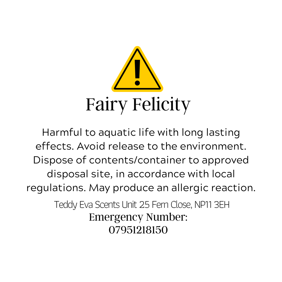 Fairy Felicity Teddy Clamshell