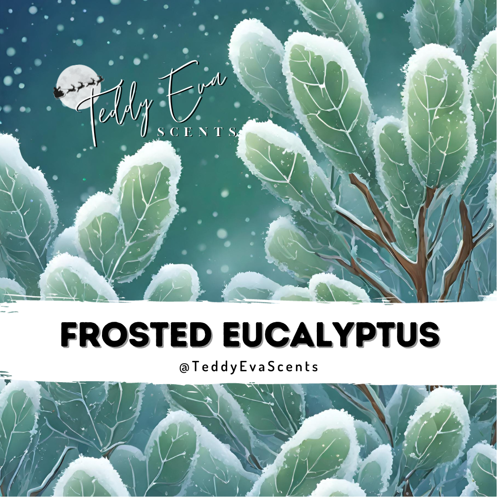 Frosted Eucalyptus Teddy Pot