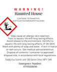 Haunted House