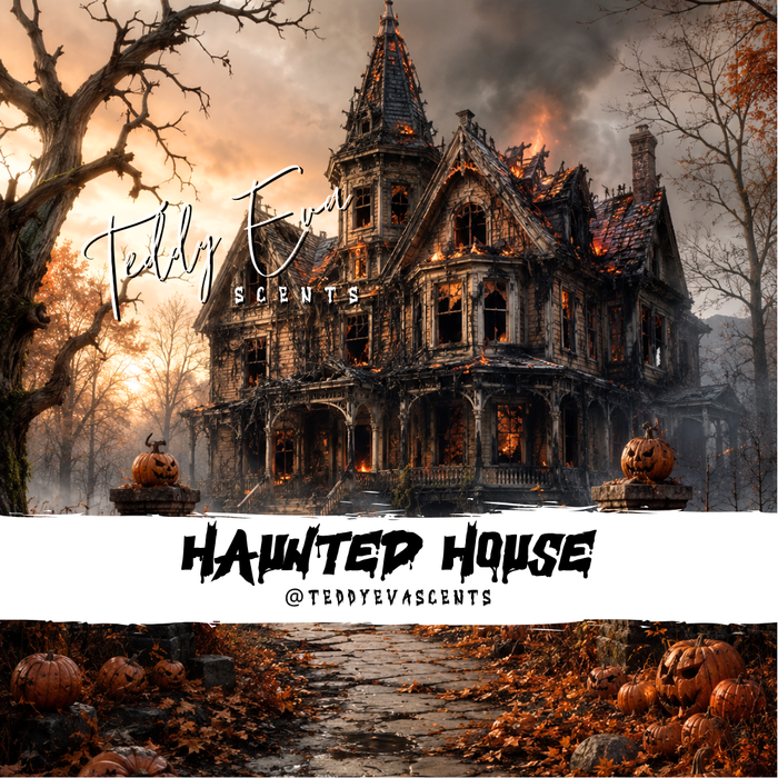 Haunted House Teddy Pot wax melt
