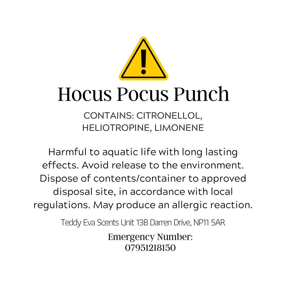 Hocus Pocus Punch