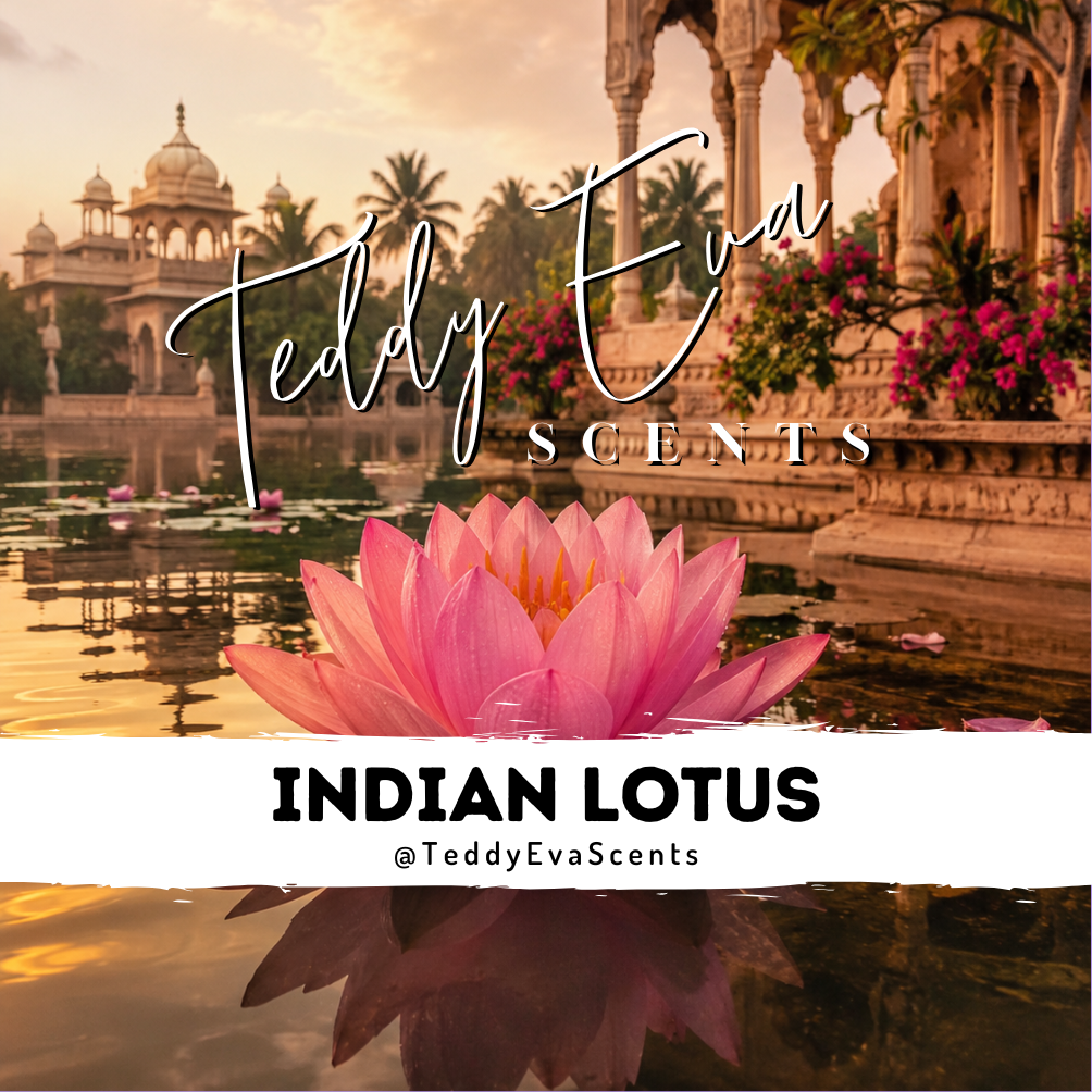 Indian Lotus