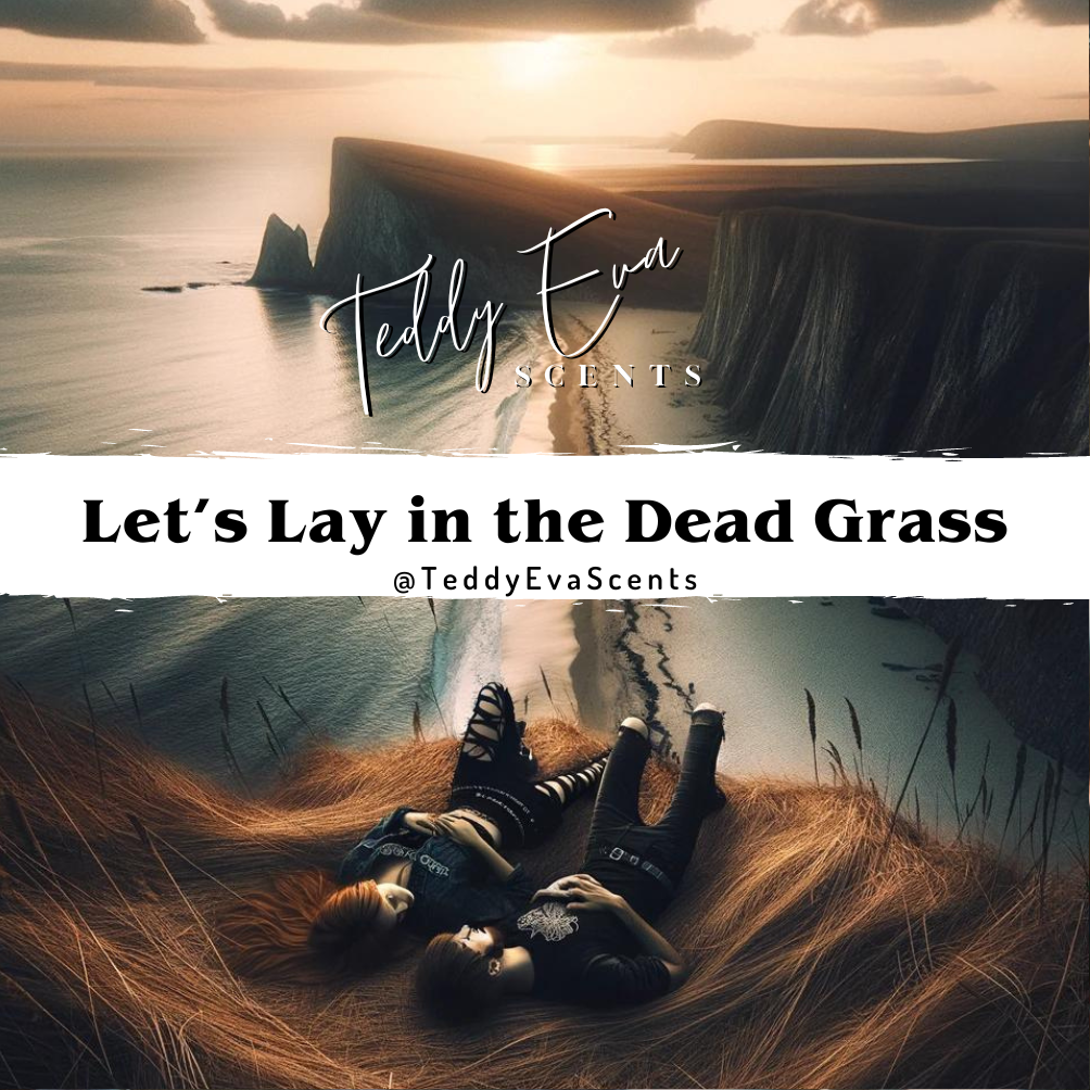 Let's Lay in the Dead Grass just gives me an adventurous vibe. It's the part of me that wants to live out of a van on the road. That wants to wake up to sun rises on cliff sides, and fall asleep to dying campfires at starlight. I just love the lyrics from the song that inspired this one...