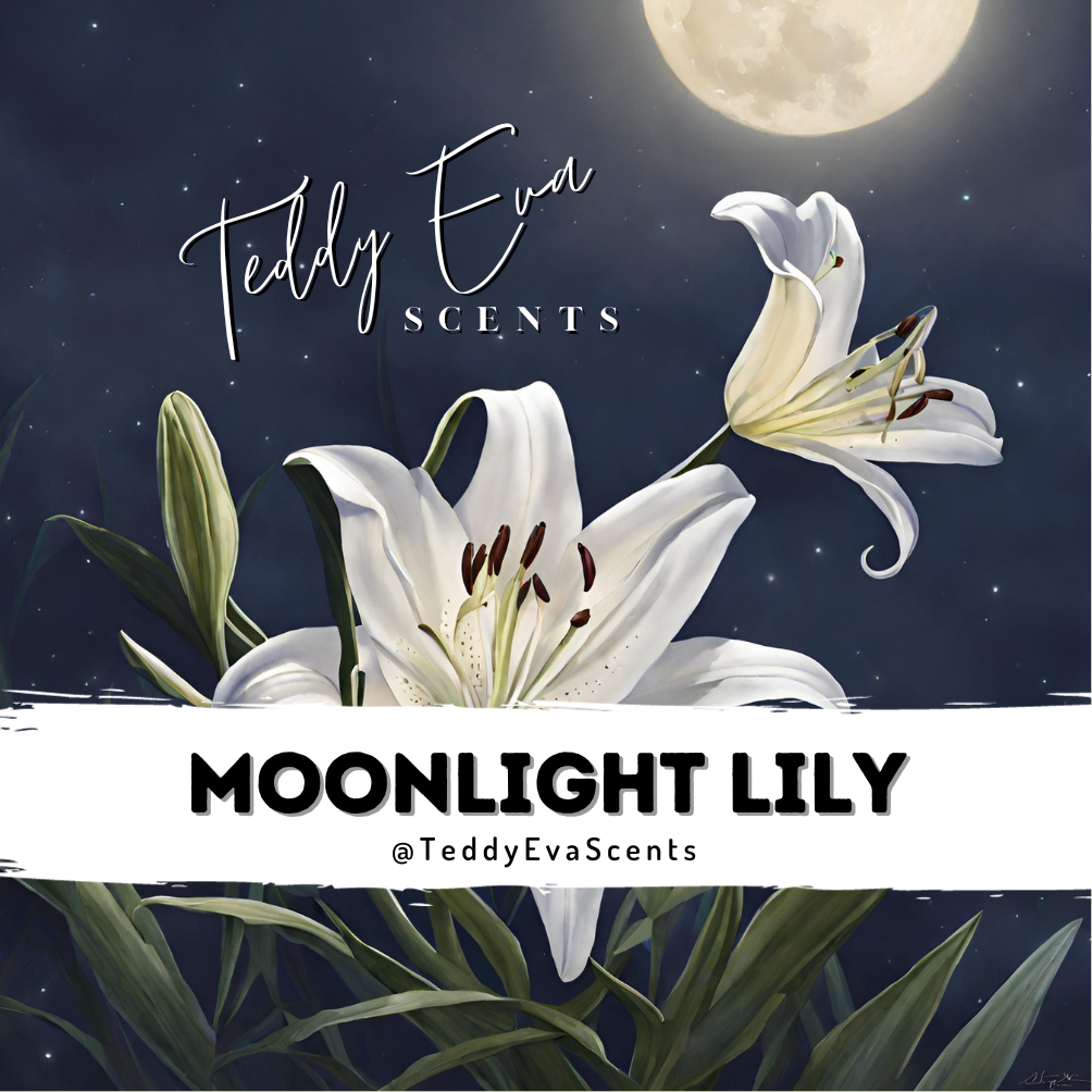 Moonlight Lily Teddy Pot