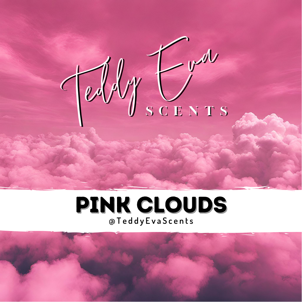 Pink Clouds Teddy Pot