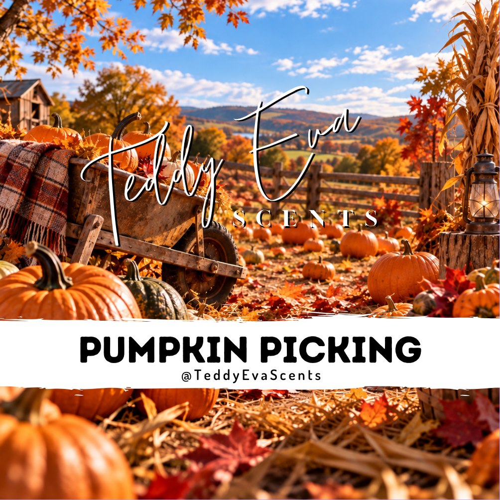 Pumpkin Picking