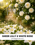 Sheer Lilly & White Rose