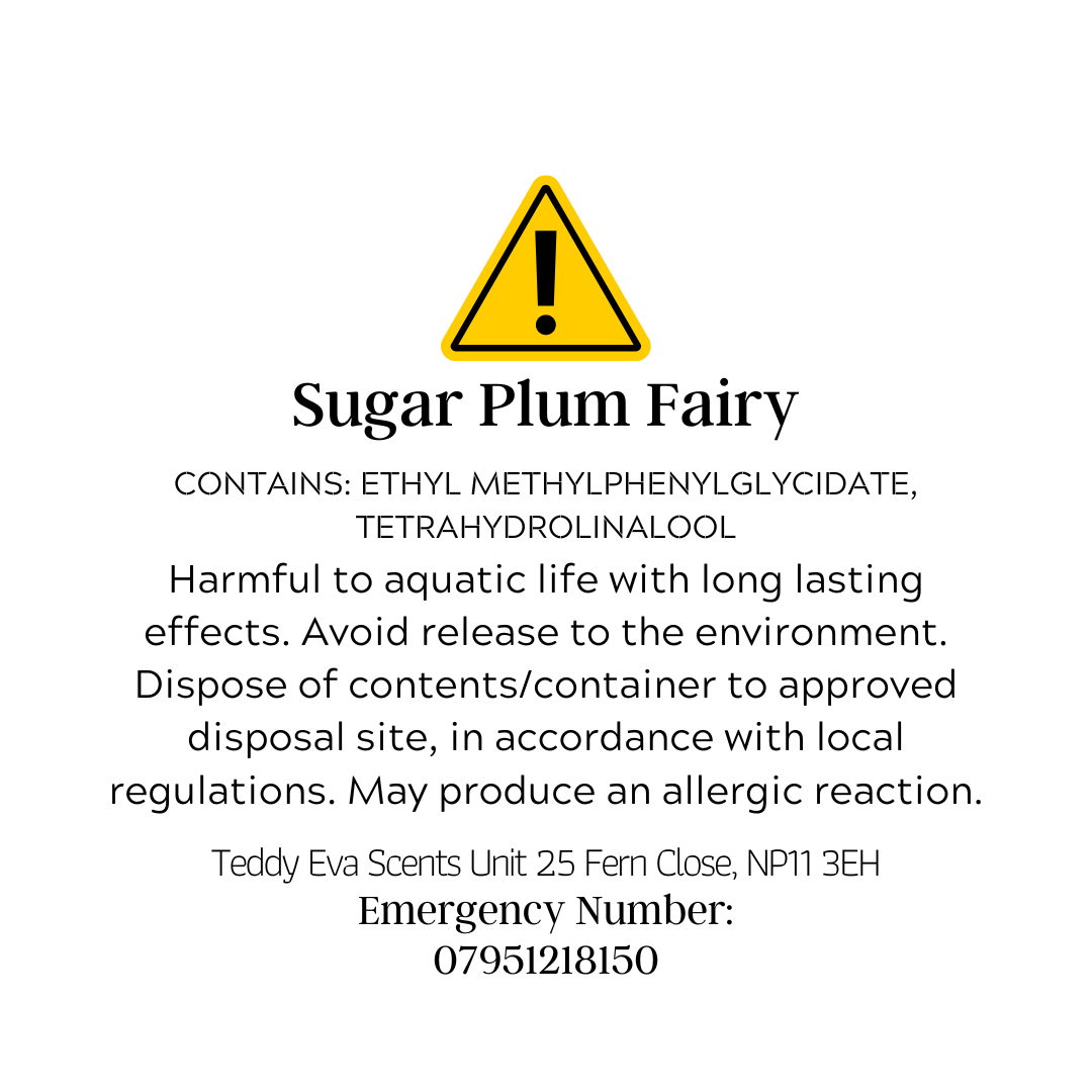 Sugar Plum Fairy Teddy Clamshell