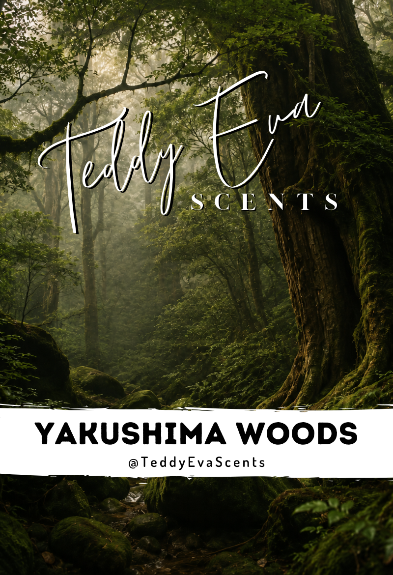 Yakushima Woods