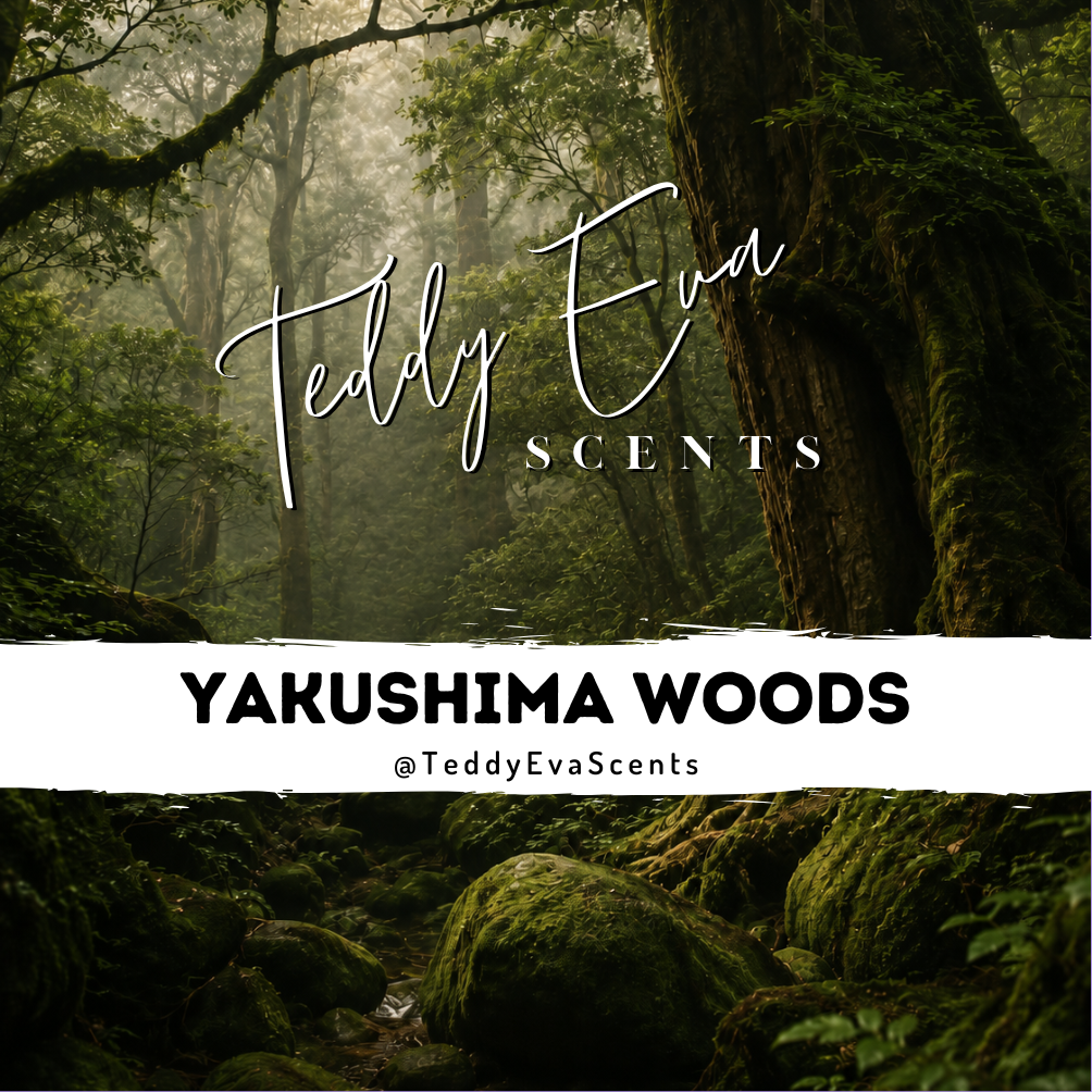 Yakushima Woods