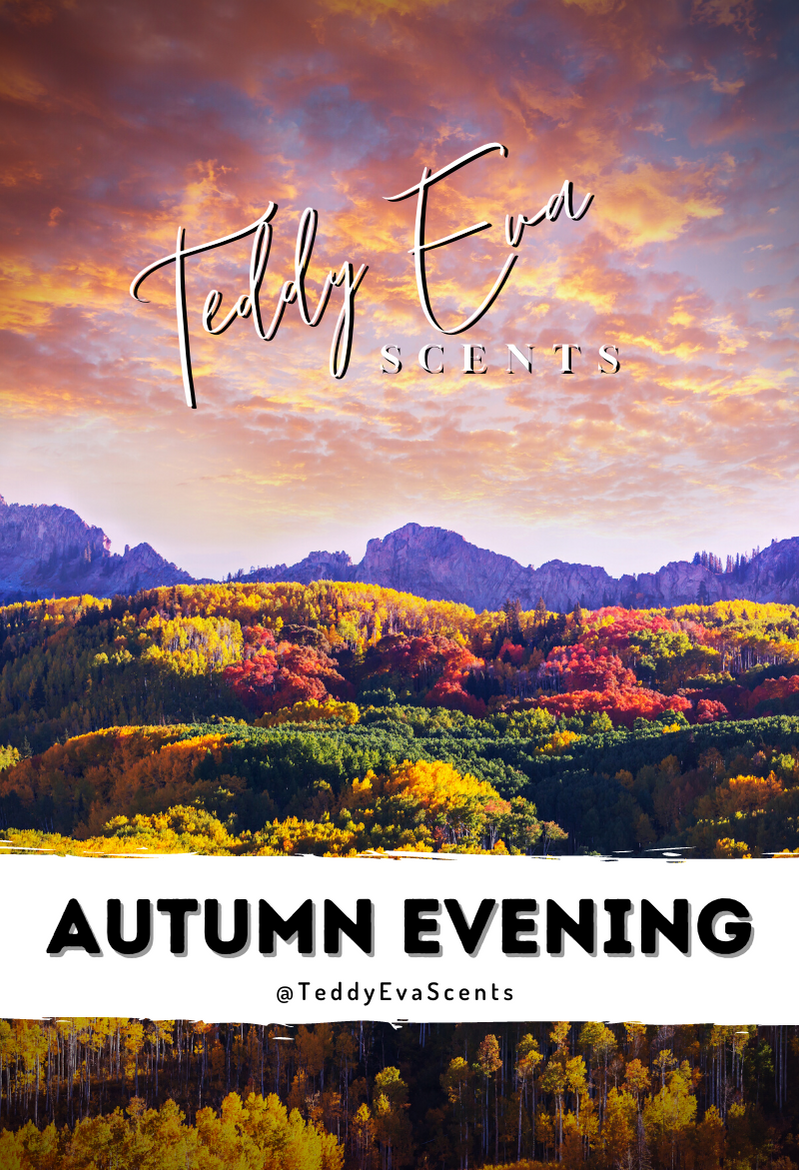 Autumn Evening Teddy Clamshell