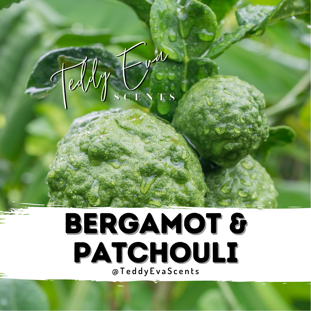 Bergamot & Patchouli Teddy Pot