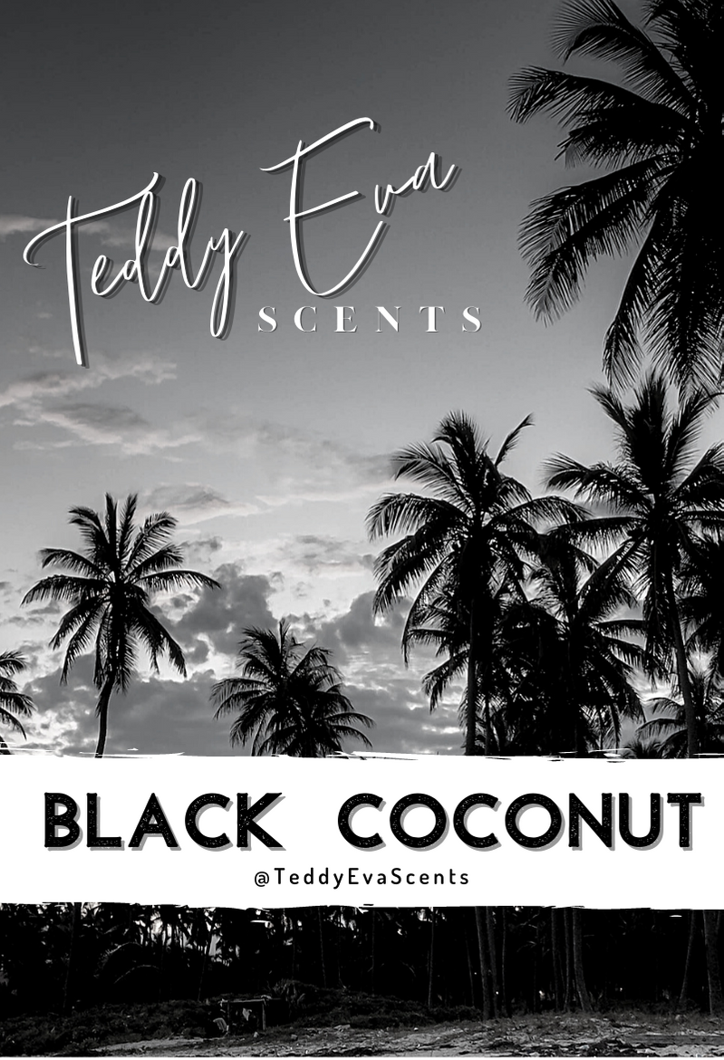 Black Coconut Teddy Clamshell