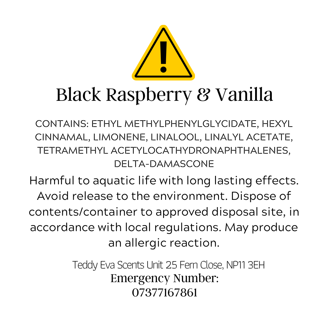 Black Raspberry & Vanilla Teddy Pot