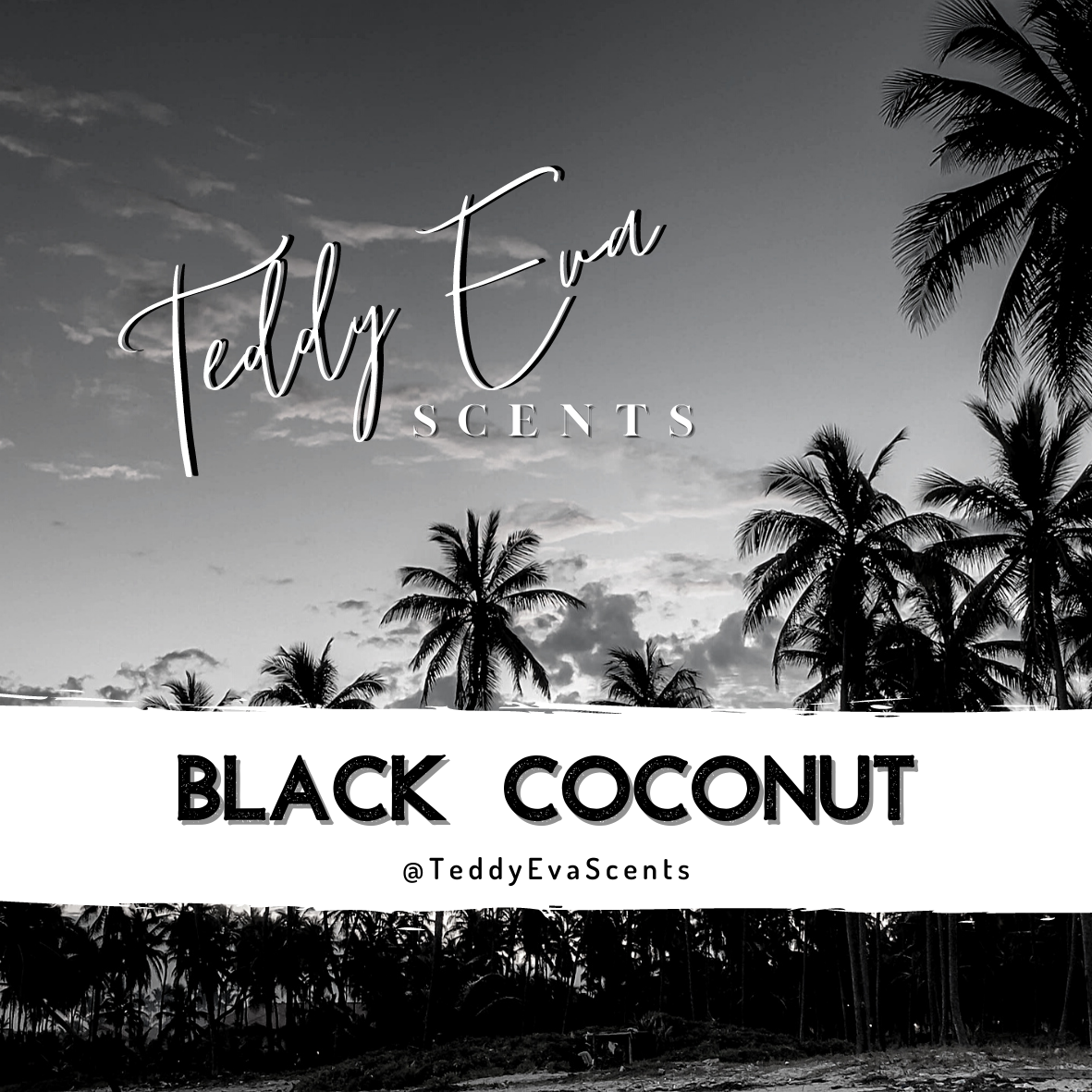 Black Coconut Teddy Pot
